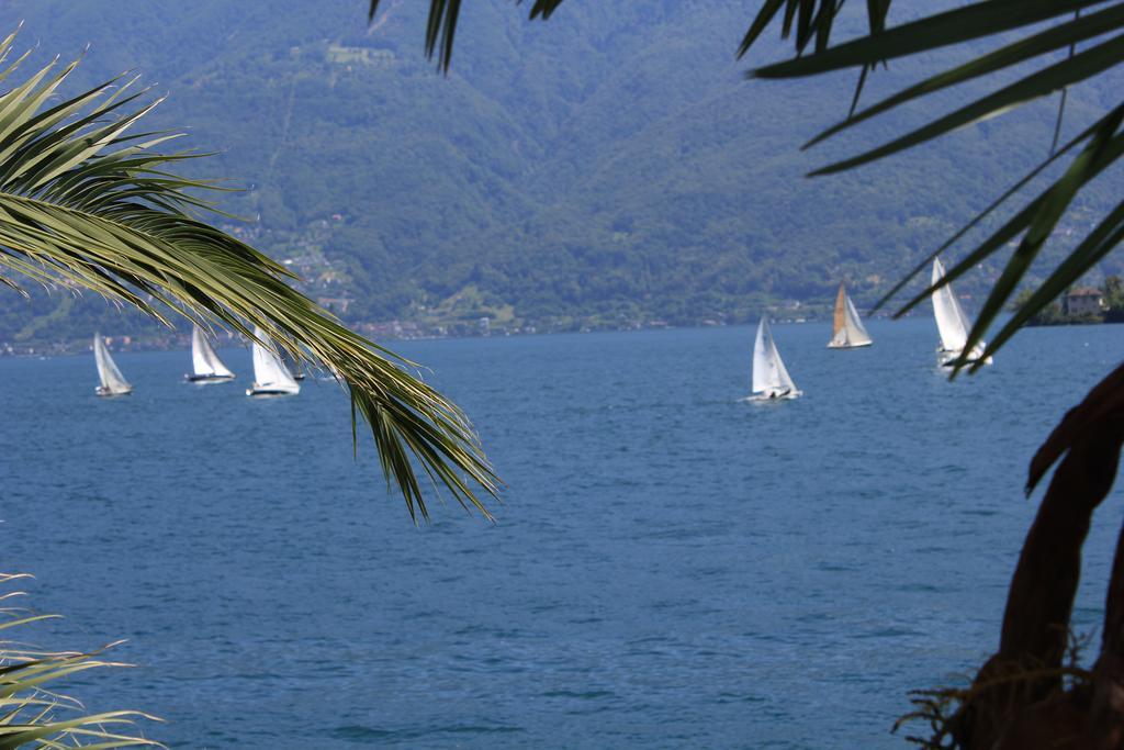 Apartamento Casa San Martino Ronco sopra Ascona Exterior foto