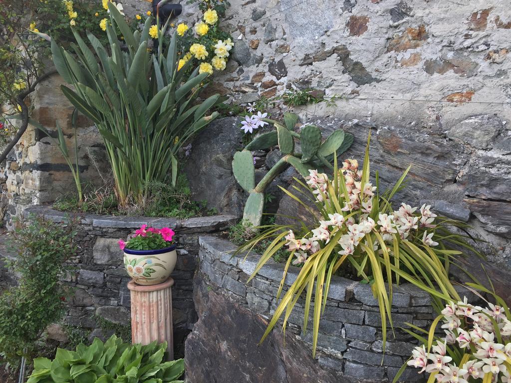 Apartamento Casa San Martino Ronco sopra Ascona Exterior foto