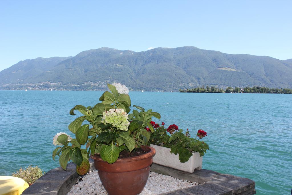 Apartamento Casa San Martino Ronco sopra Ascona Exterior foto