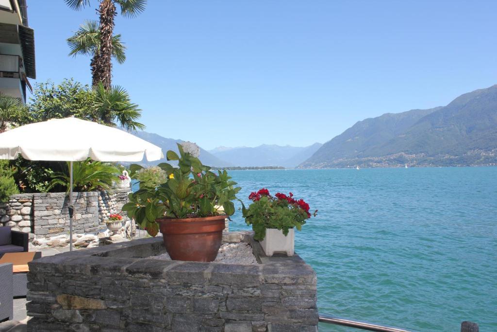 Apartamento Casa San Martino Ronco sopra Ascona Exterior foto